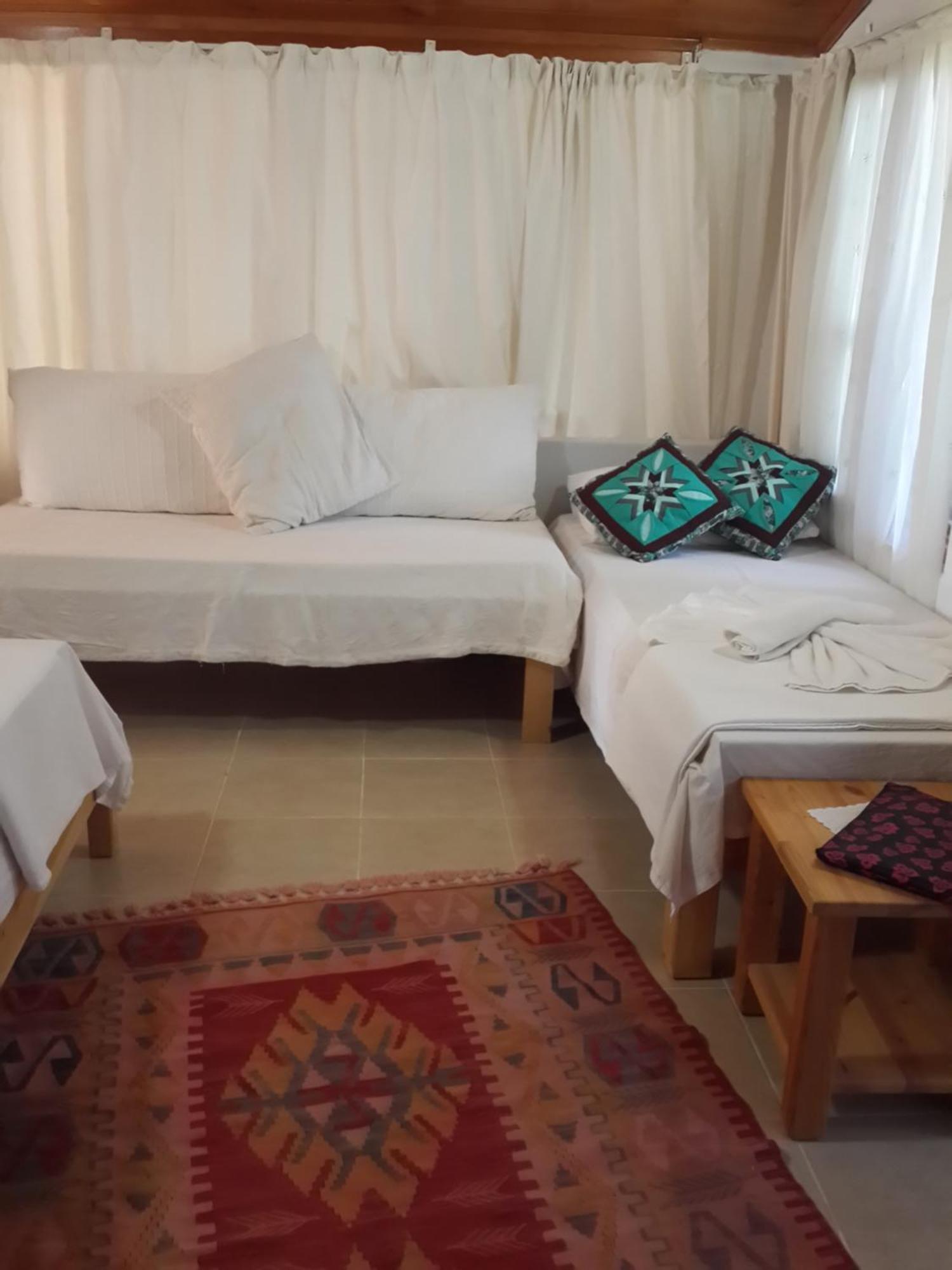 Cirali Kus Yuvasi Bed & Breakfast Cameră foto